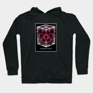 shape of my soul Hoodie